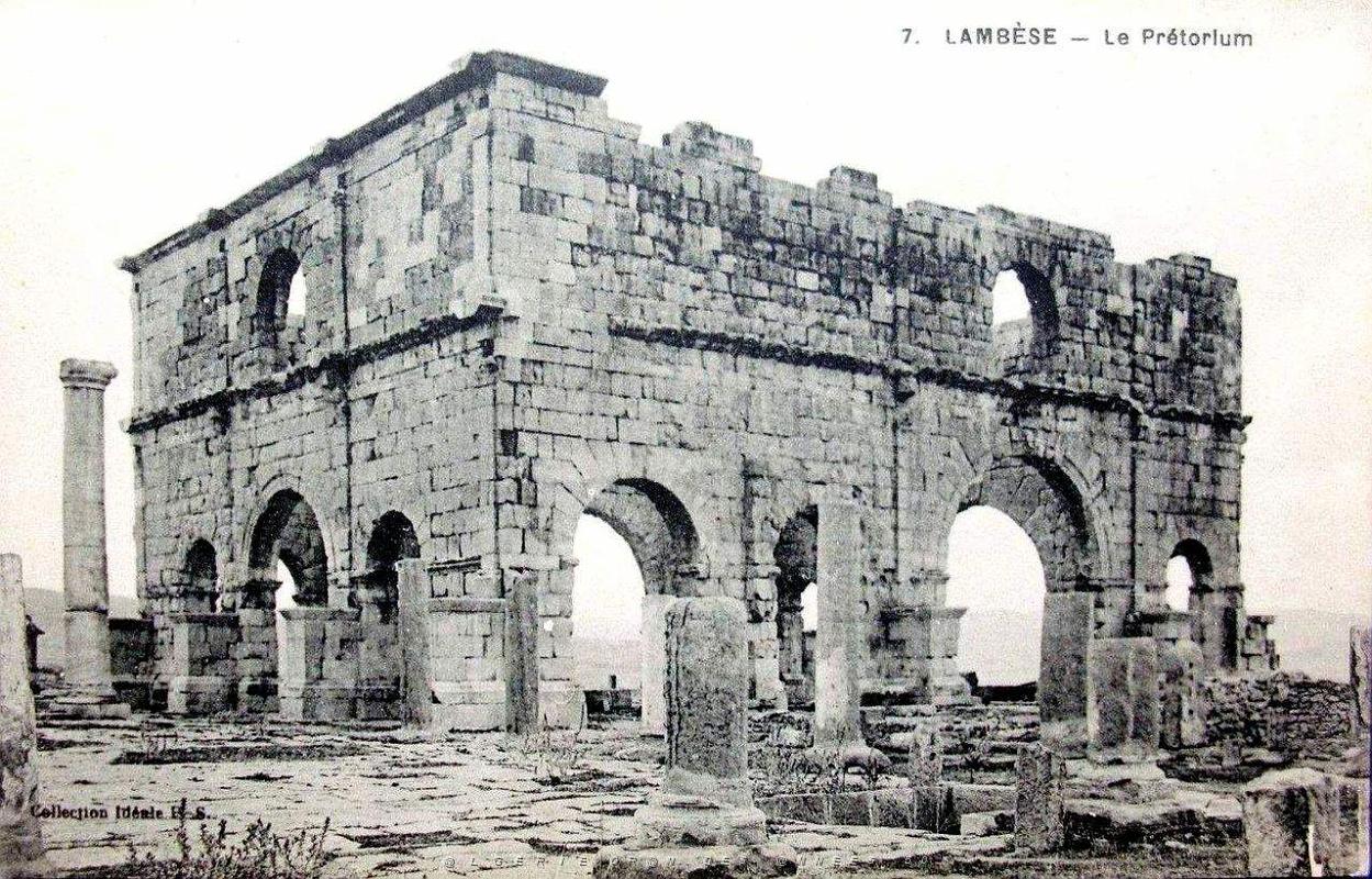 ALGERIE-RUINES ROMAINES DE LAMBESE (18).jpg